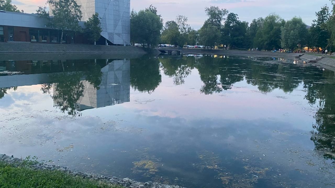 Казанцам не понравилось состояние озера в парке Урицкого