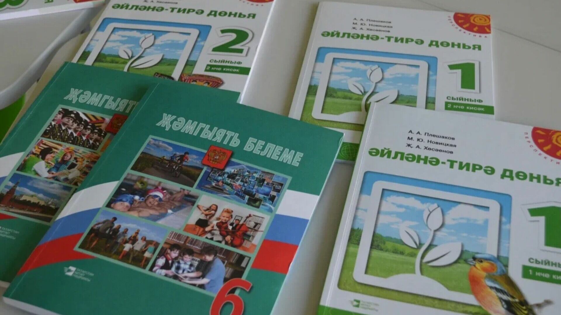 Активисты хотят обязать чиновников учить татарский язык