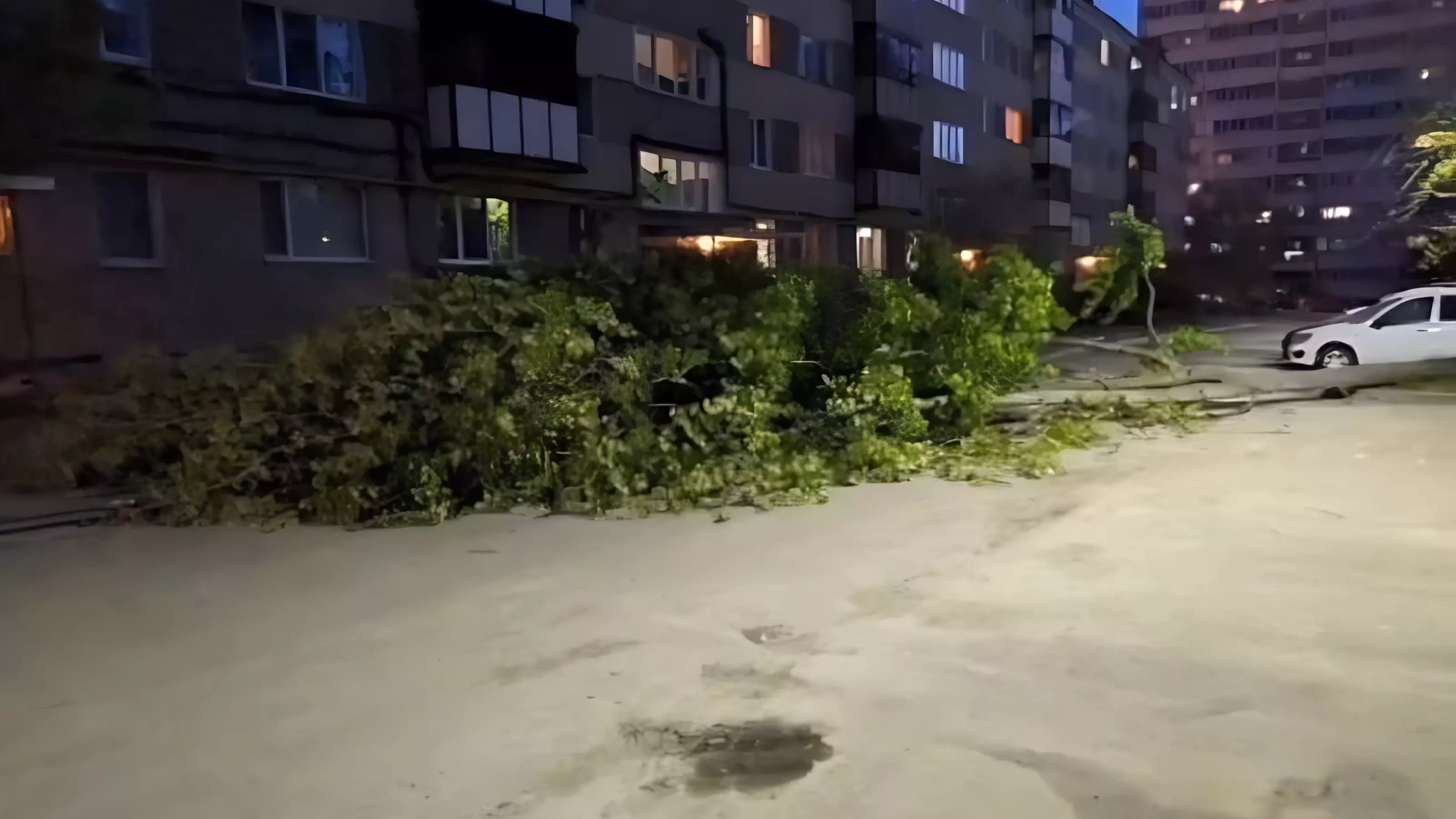 В Казани ветер повалил дерево во дворе