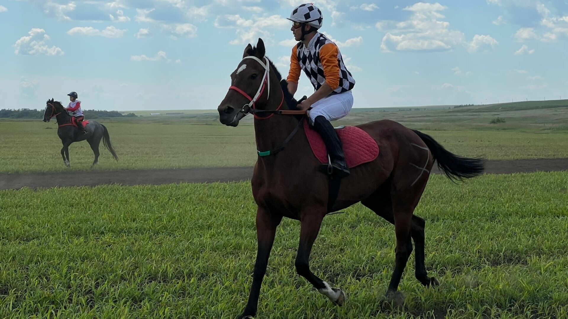 В честь Дня республики в Татарстане проведут конный забег до Алтая