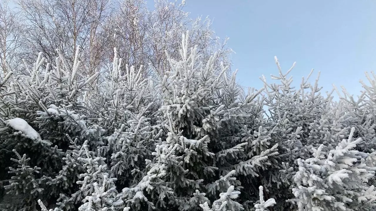 Татарстанцев предупредили о похолодании до -40 градусов