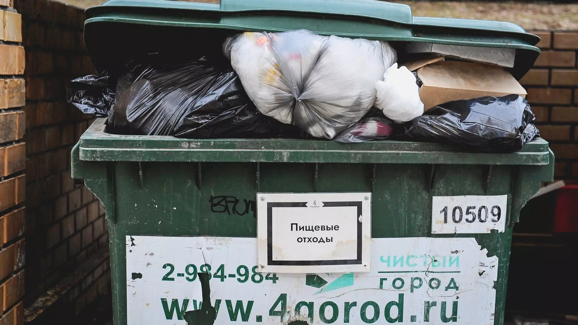 Хочется, чтобы у нас санэпидемстанция поработала — казанцы жалуются на мусор