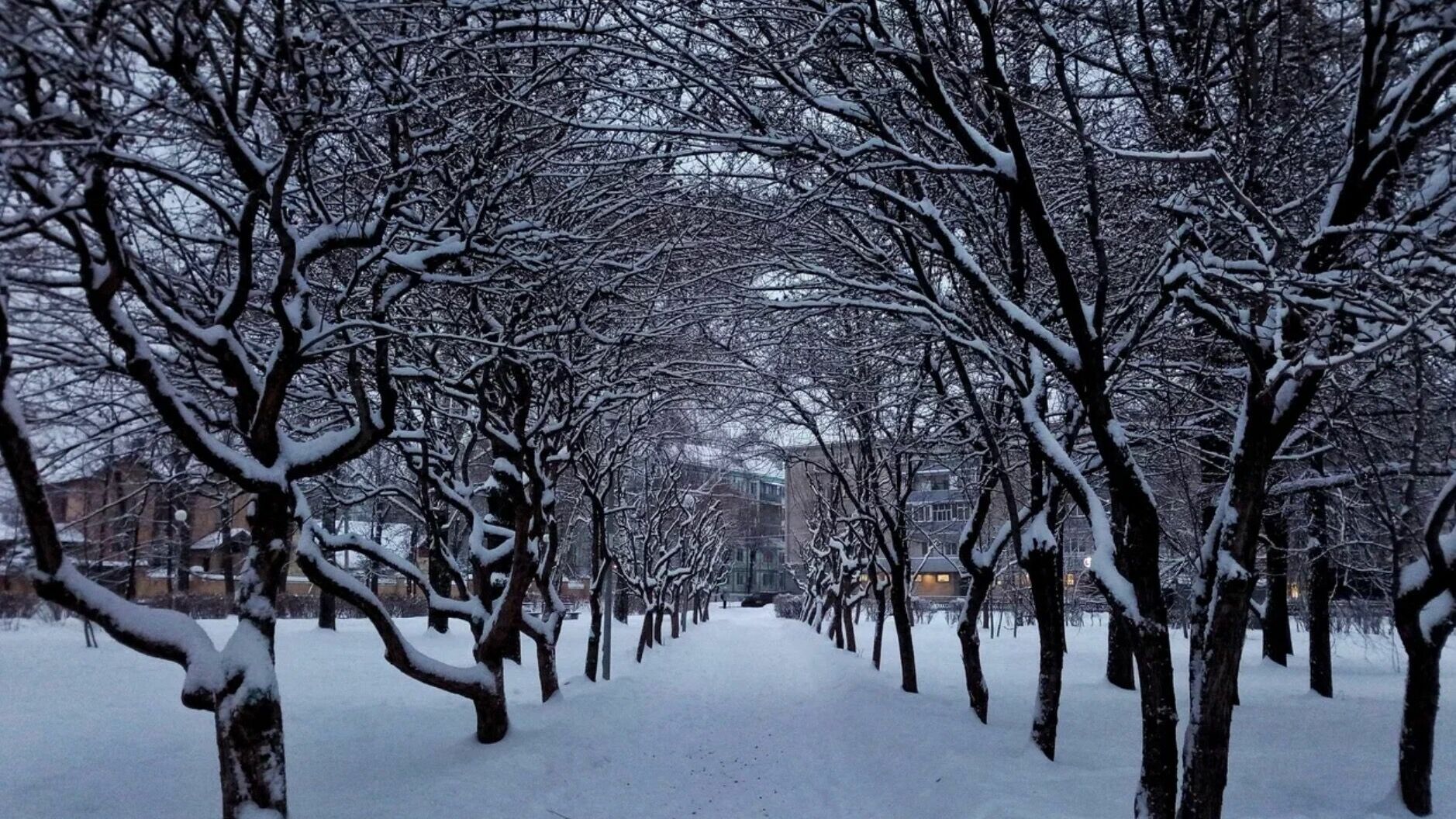 Где в Казани могут размещаться свалки снега