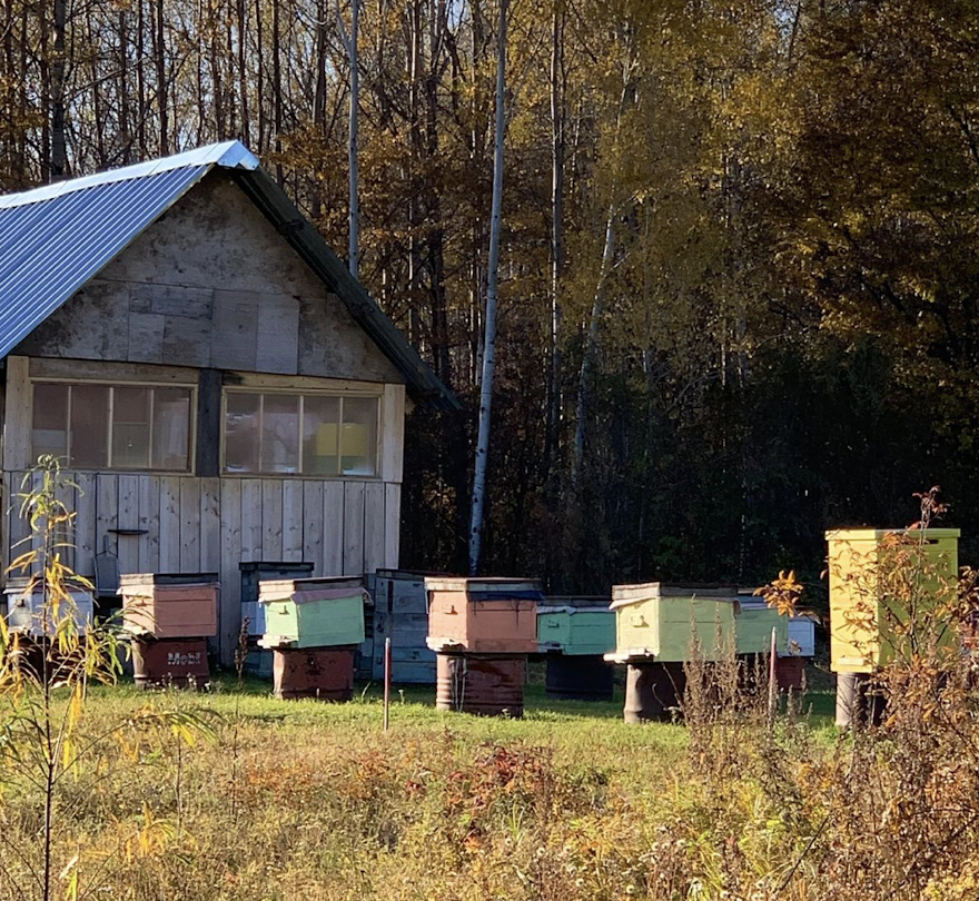 У пчеловодов Татарстана больше нет управления