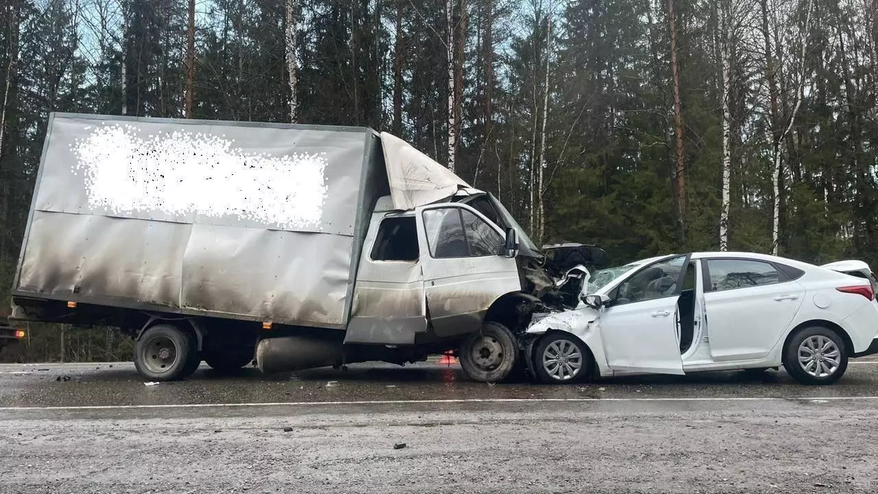 Пассажир иномарки умер после столкновения с грузовиком на трассе в Татарстане