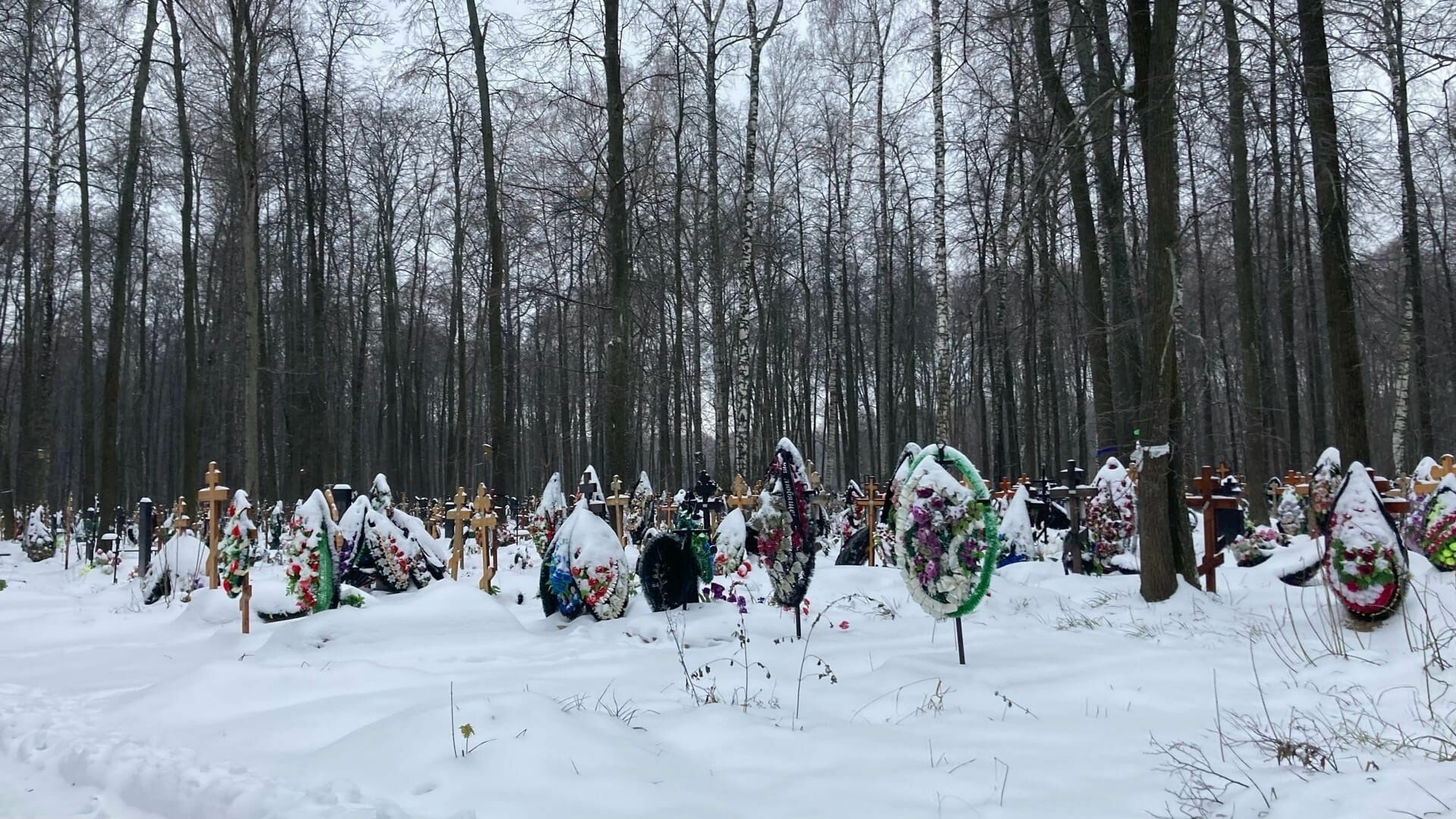 Казанские кладбища очистят от старых деревьев за 4 млн рублей