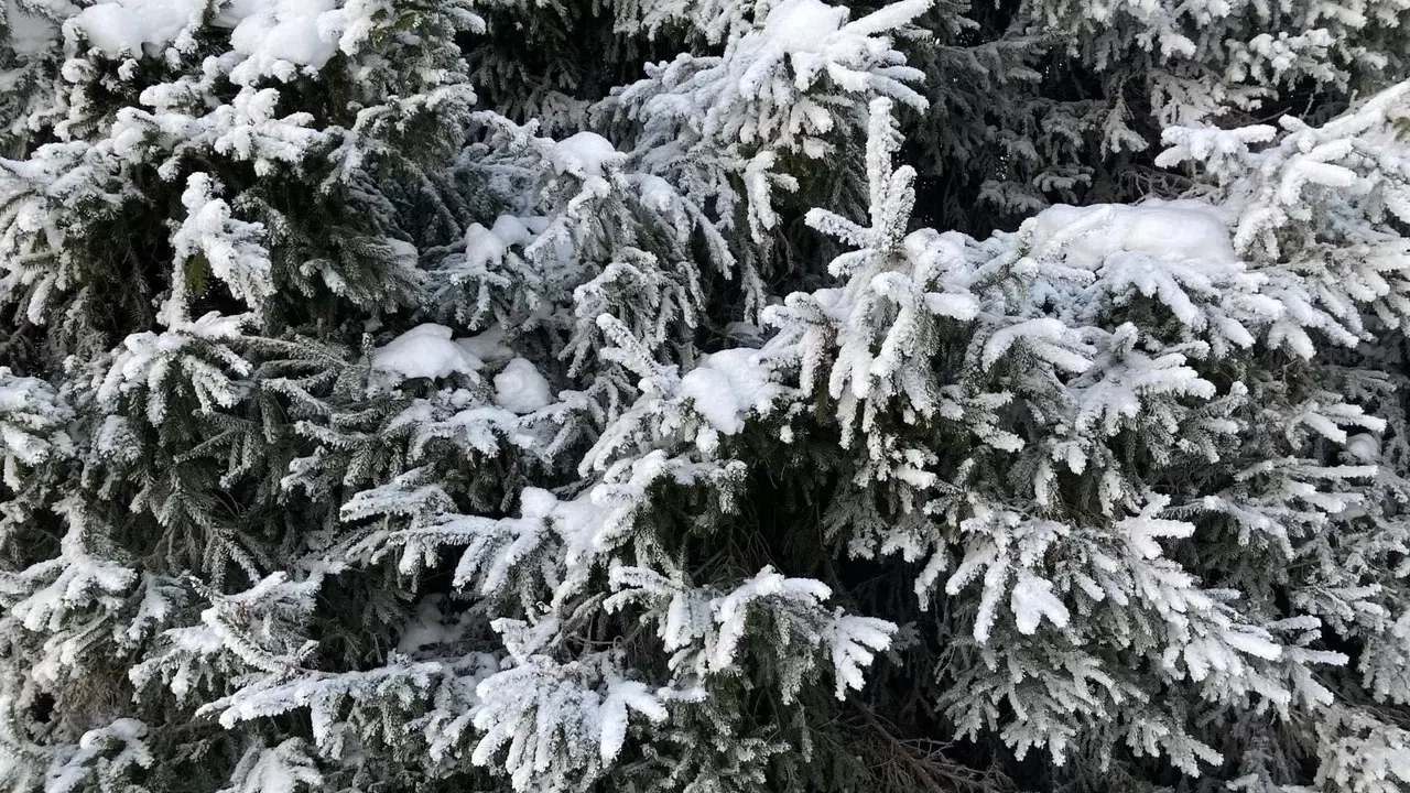Татарстанцам обещают снег и морозы перед 8 Марта