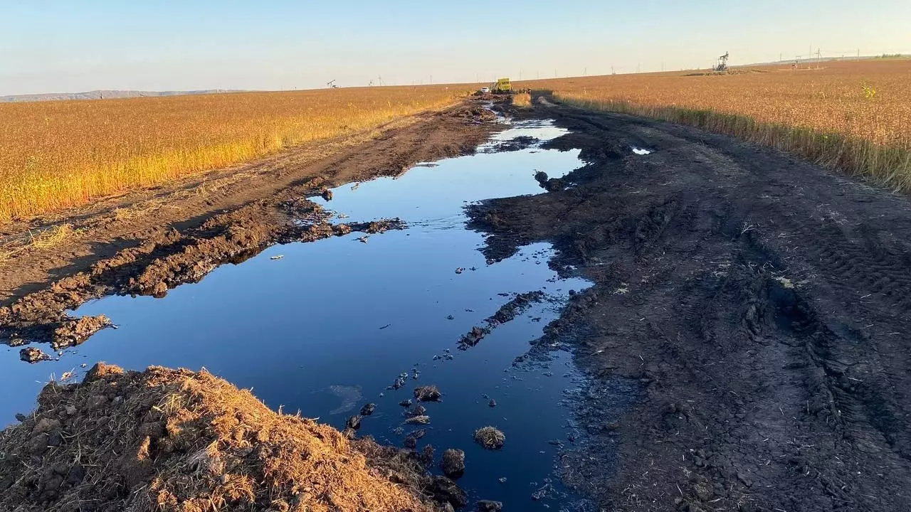 Башкирская компания залила землю в Татарстане нефтепродуктами