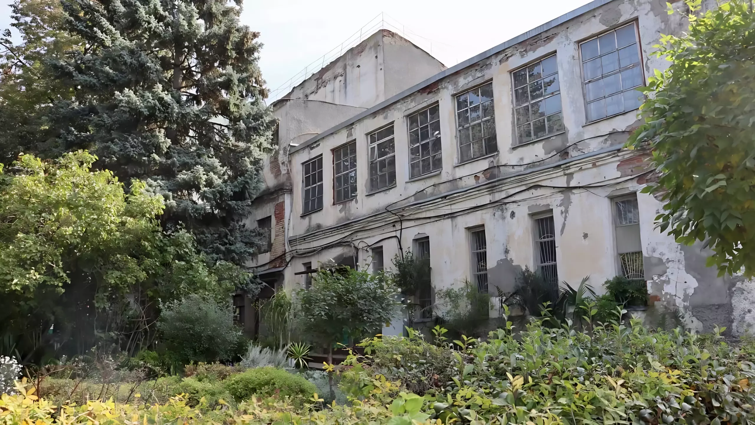 В Казани готовят проект реставрации оранжереи в старой части зоопарка