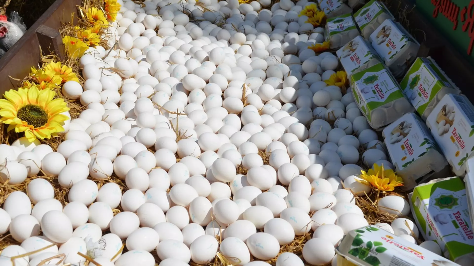 Политолог Журавлев прокомментировал импорт яиц из Турции и Азербайджана