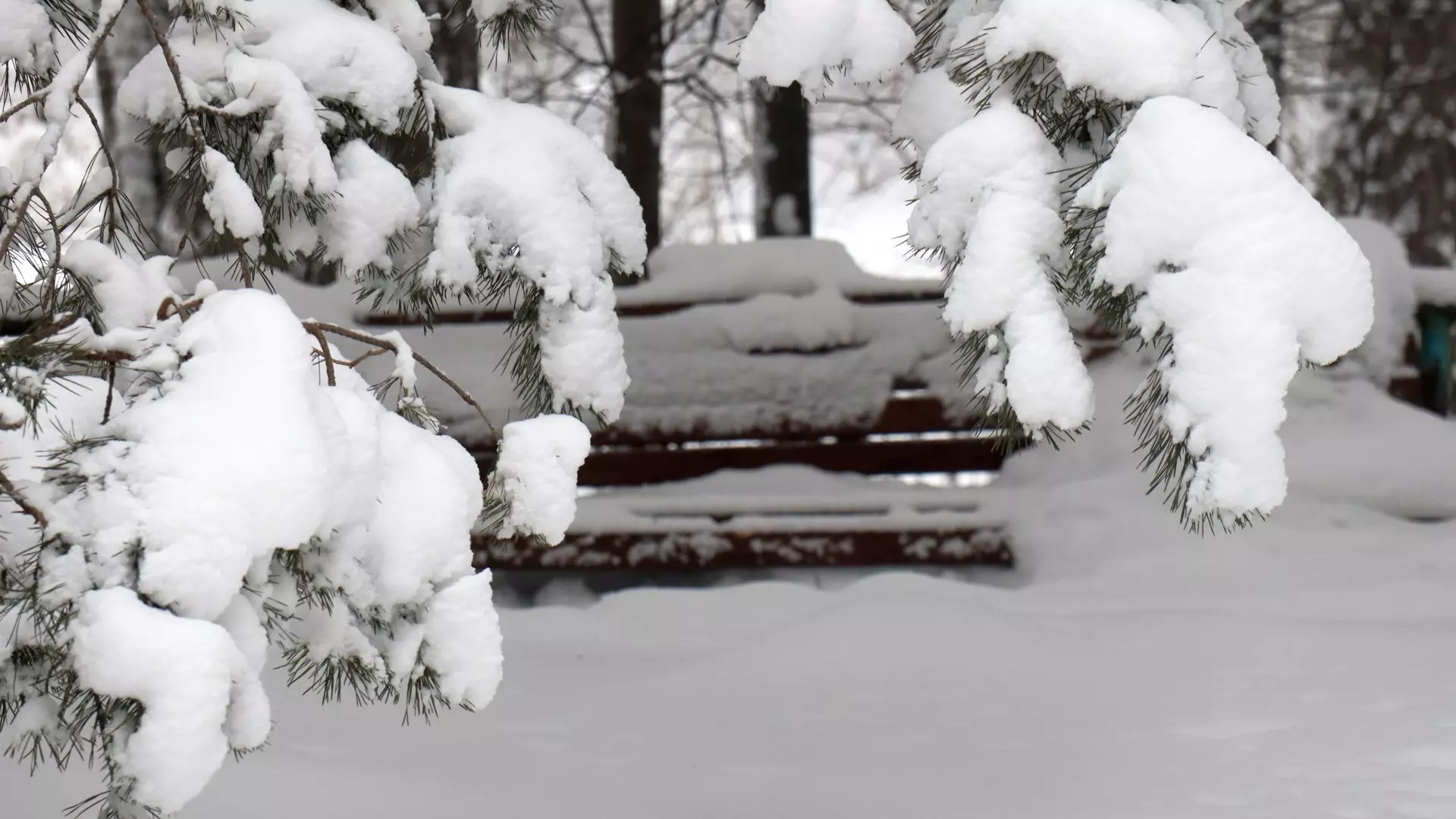 С аномально низкими температурами жители Татарстана столкнулись уже в начале зимы.