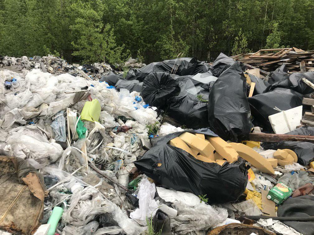 Кто стоит за мусорным коллапсом во Владивостоке?