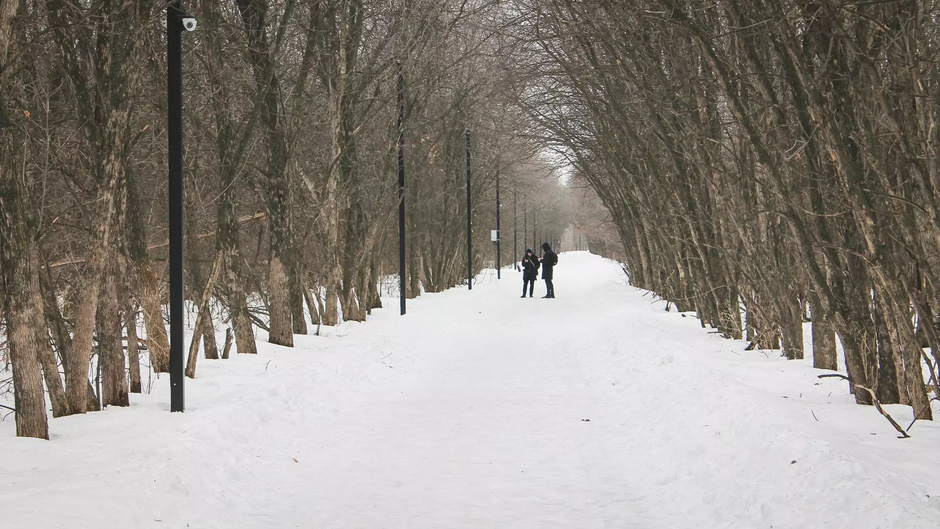 Привычная картина для зимы сформируется в ближайшие часы — казанский метеоролог