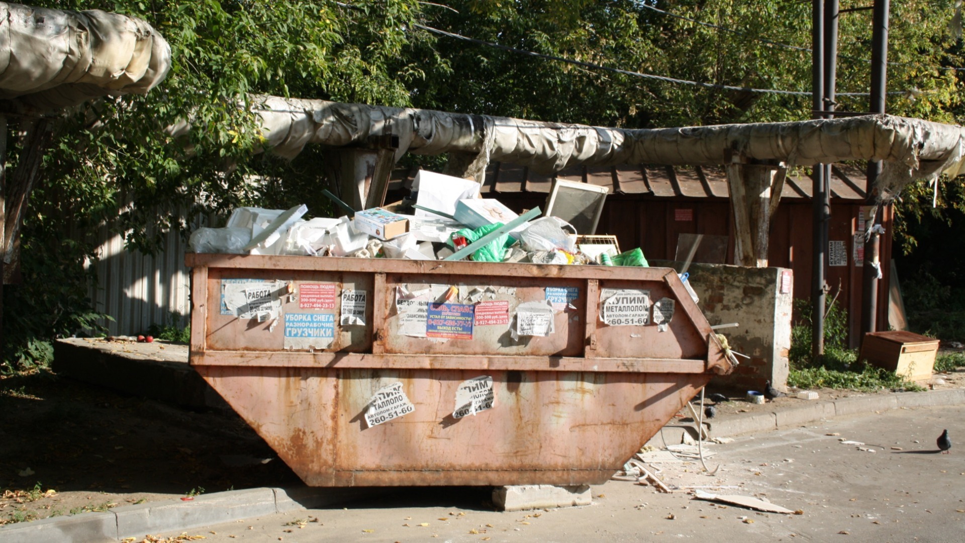 В Татарстане отменили нормативы накопления мусора для крупных магазинов