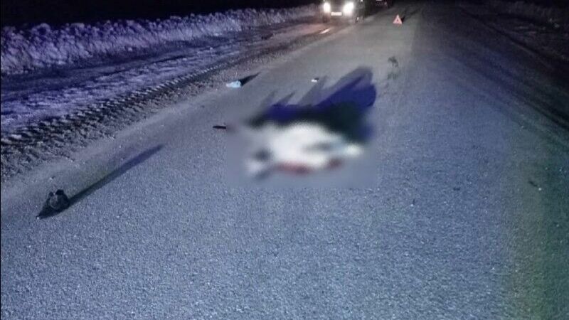 В Татарстане автомобиль насмерть переехал лежащего на дороге пешехода