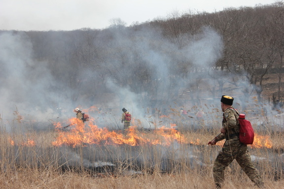 В Татарстане объявили штормовое предупреждение из-за возможных лесных пожаров
