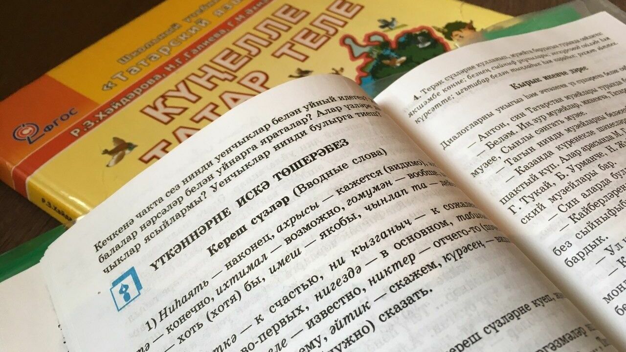 Активисты потребовали вернуть татарский язык в школы РТ