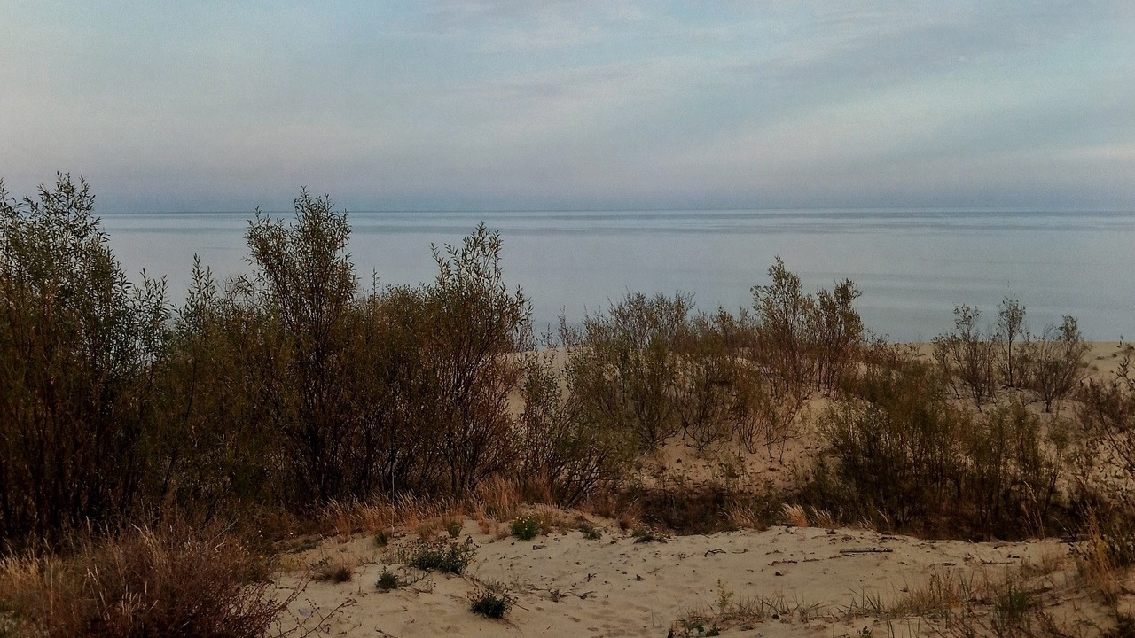 В Татарстане запретили купаться на 9 пляжах