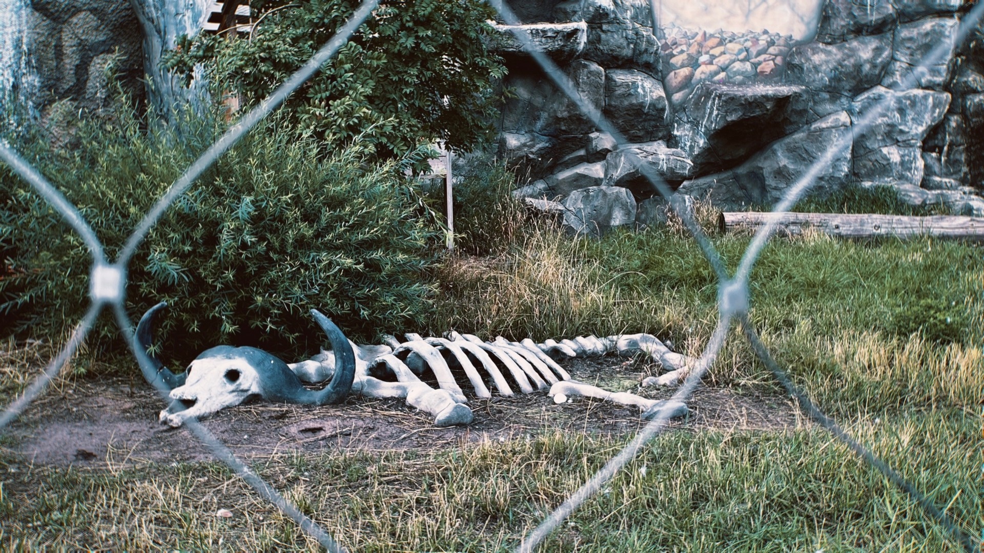 Казанцы пожаловались на плачевное состояние старого зоопарка