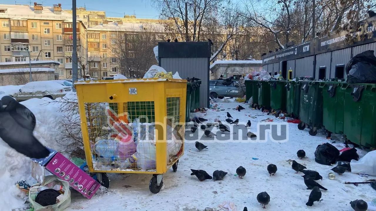 Жители Казани пожаловались на невывезенный мусор