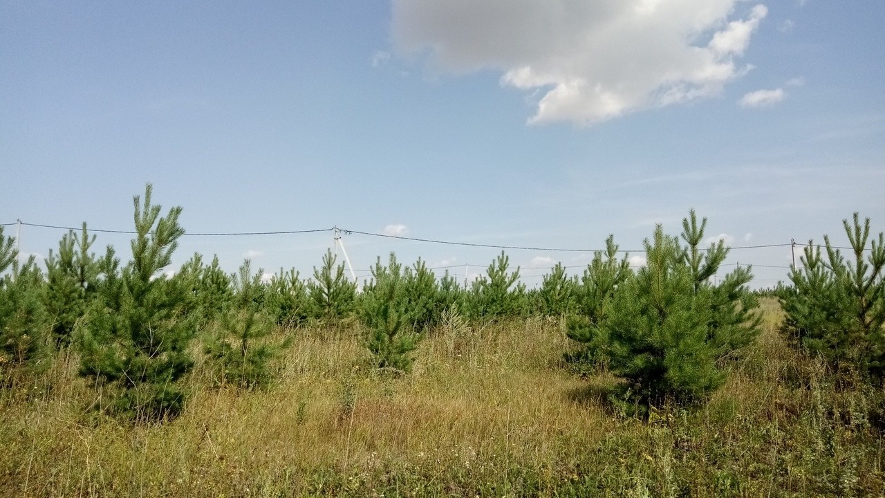 У двух компаний в Татарстане заберут землю площадью почти 18 тысяч кв. м