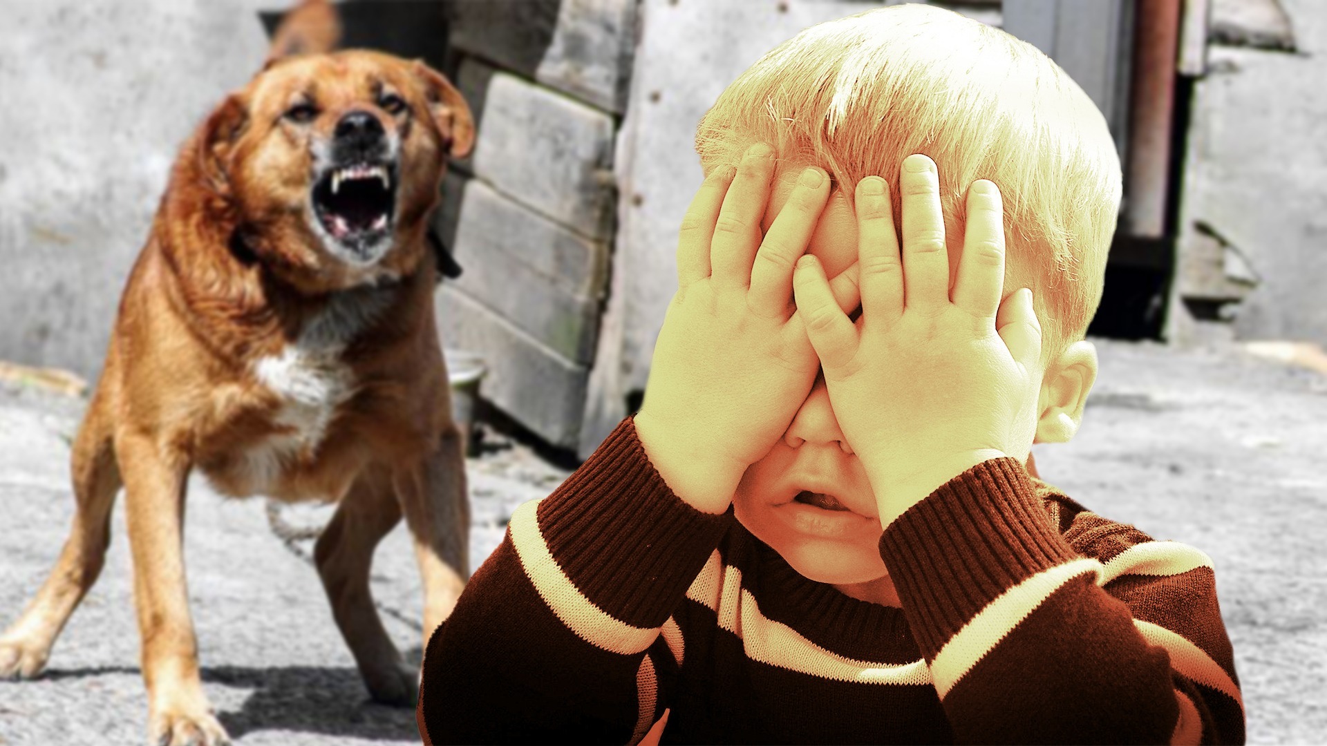В Казани малыш чуть не потерял зрение после нападения собаки