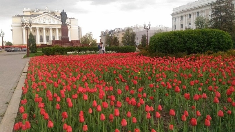 Казань потратит на цветочное оформление и озеленение 162 млн рублей