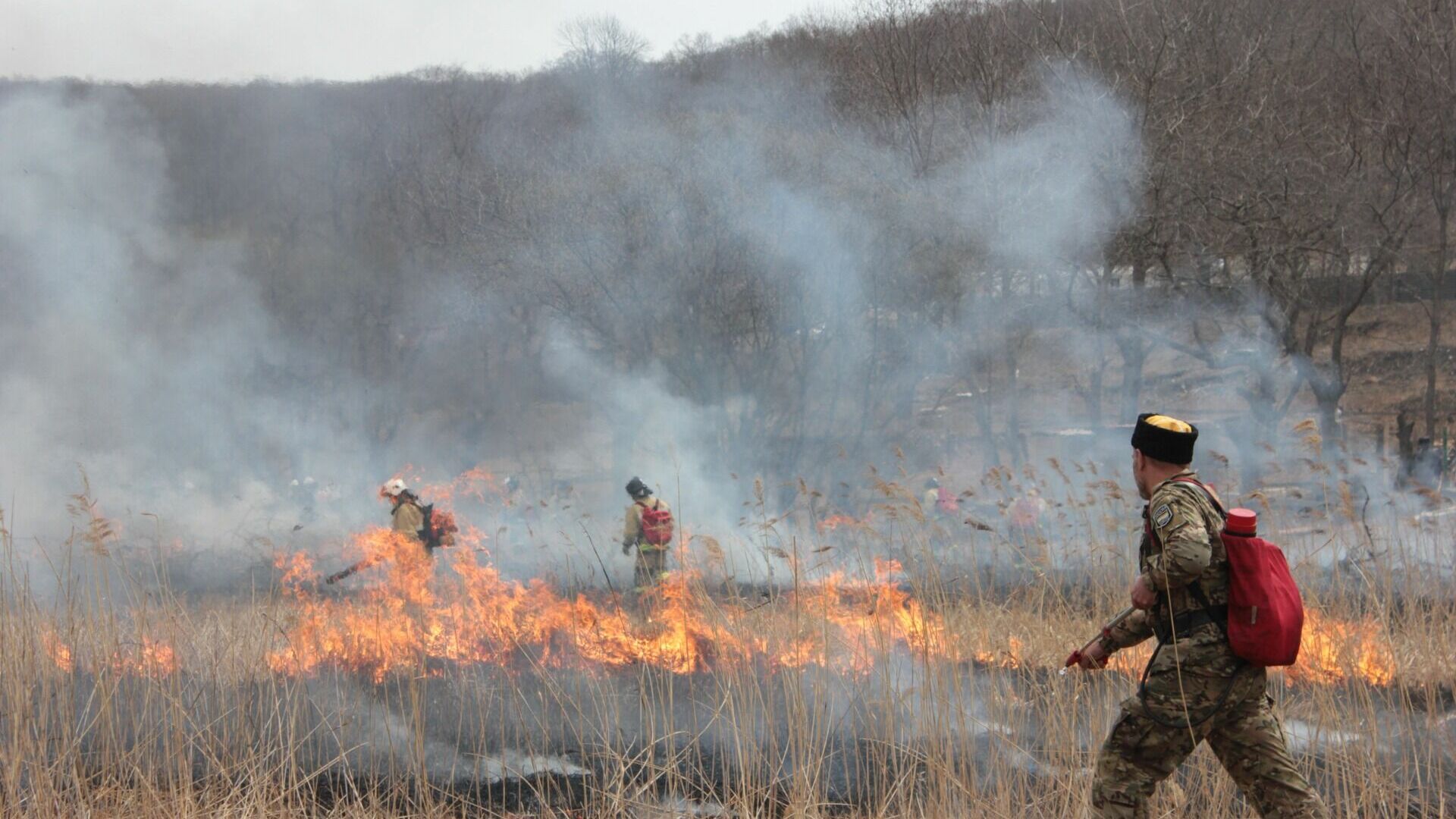 Ситуация с лесными пожарами в Татарстане