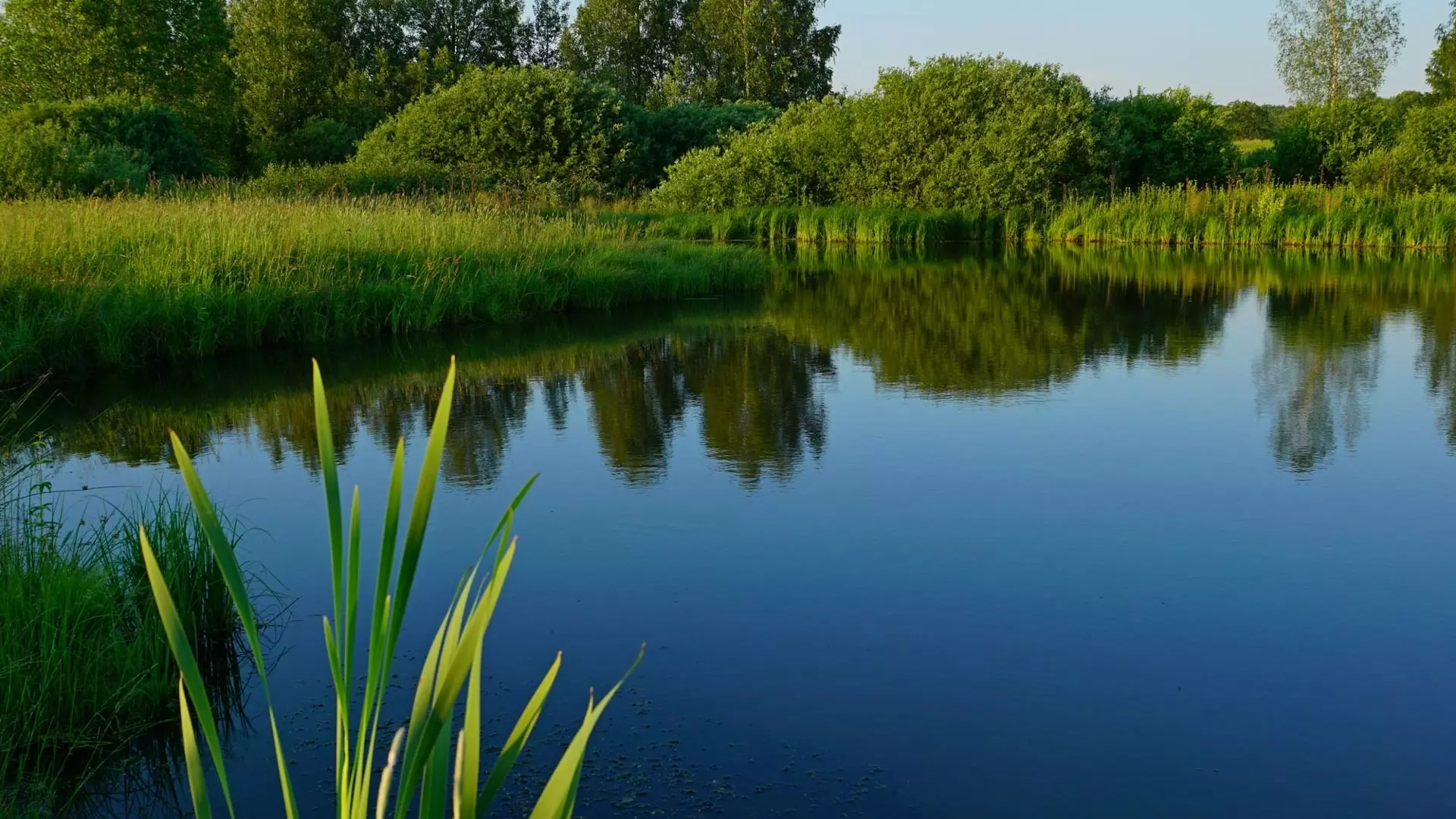 В Татарстане восстановят 8 водоемов
