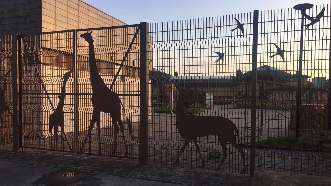 Власти Казани не планируют заселять жирафа в зоопарк