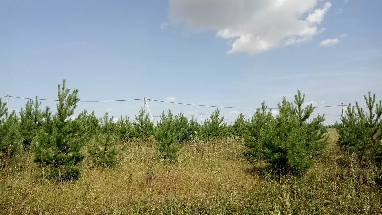 Правительство Татарстана выкупит земли ради новых дорог