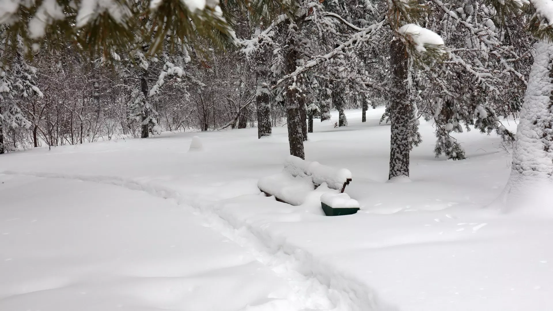 Казанцы жалуются, что из-за снега через школьные заборы можно перешагнуть