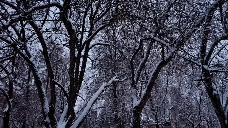 Челнинские чиновники отчитываются об уборке снега под трек из «Слово пацана»
