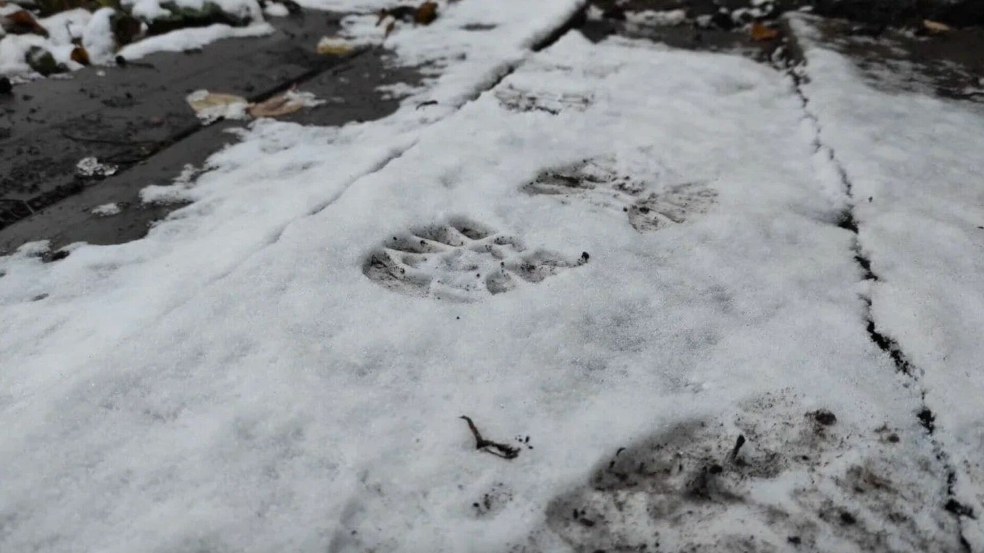 Власти Казани отрицают неполную очистку лестницы от снега