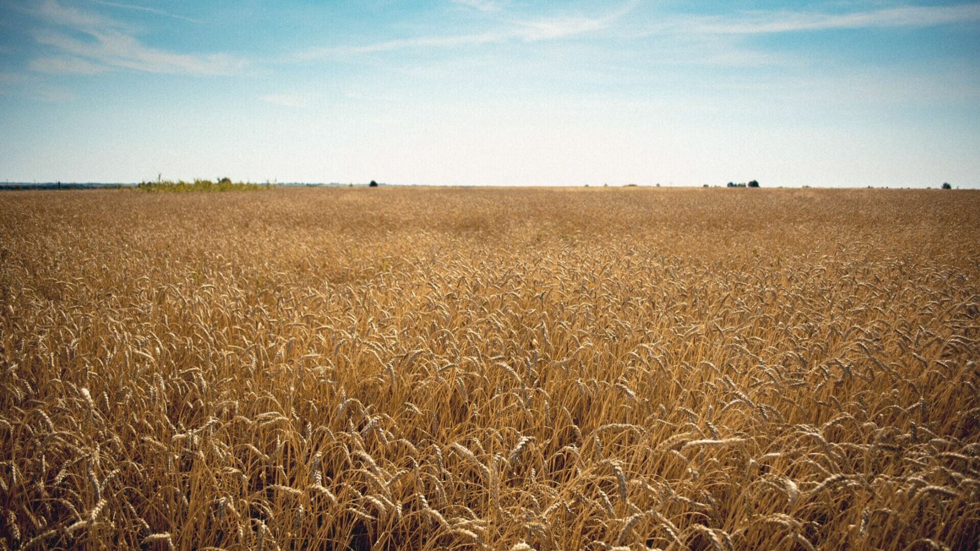 Татарстан направит 1,8 млрд рублей на субсидии аграриям для обновление сельхозтехники