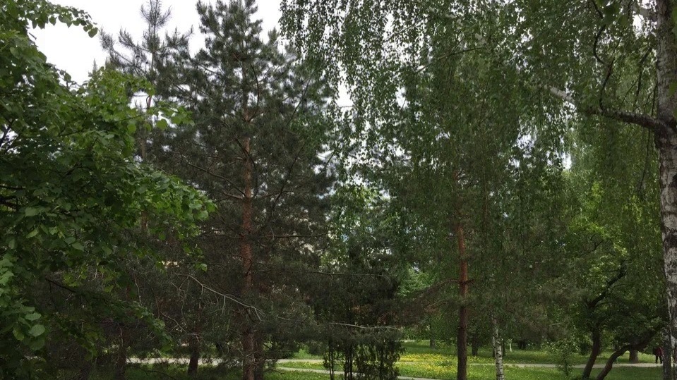 Дирекция парков и скверов Казани хочет обустроить парк на месте «Кырлая»