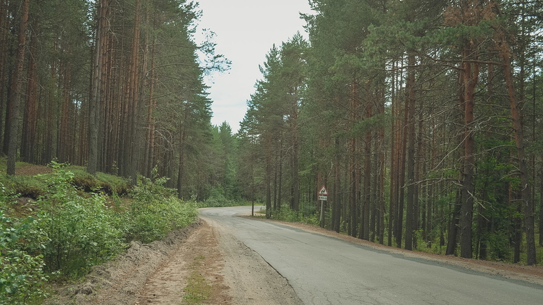 Минлесхоз Татарстана разрешил вырубать лес ради дороги