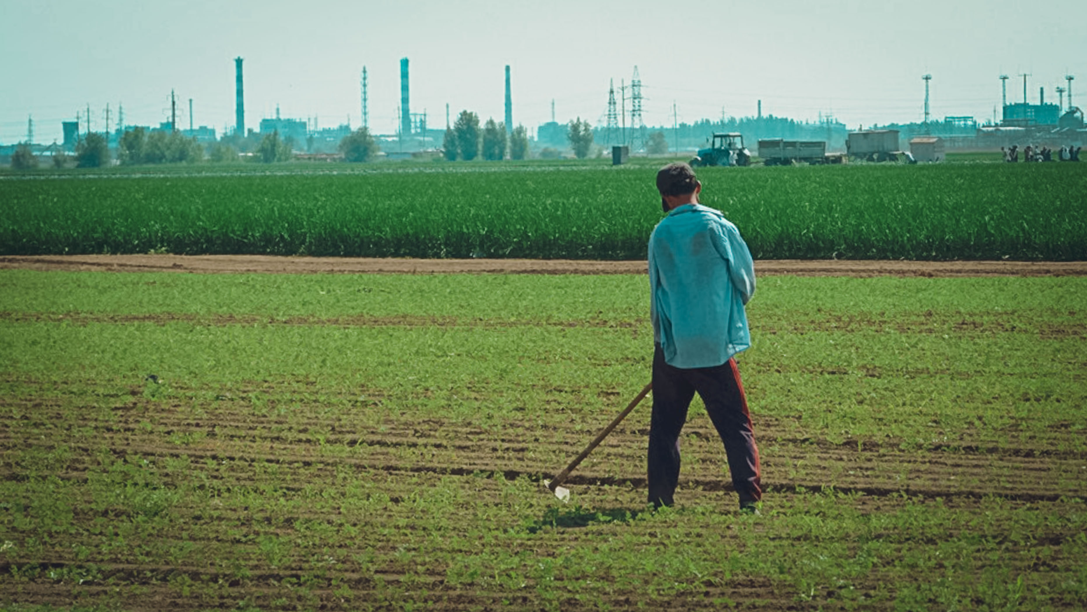 В Татарстане стало меньше фермеров