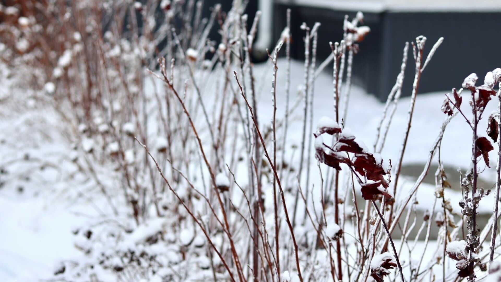 Снег, гололед, -28: какой будет первая неделя декабря в Татарстане