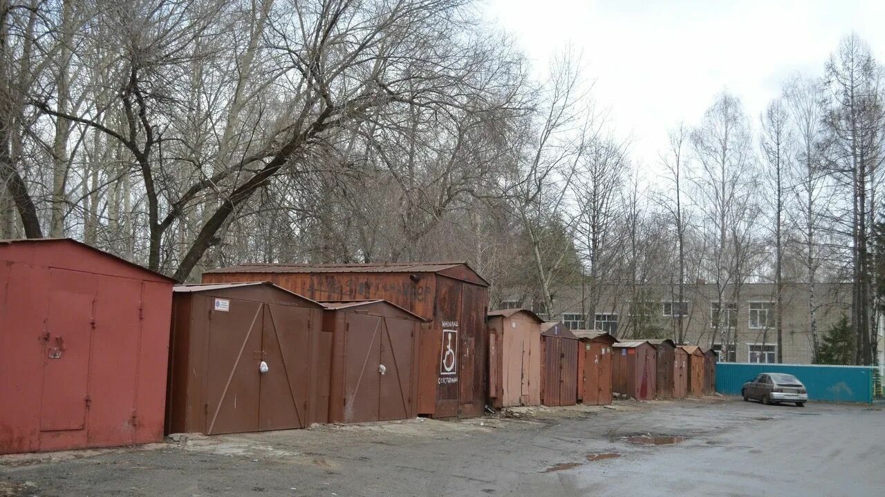 Лось застрял между гаражами в Татарстане — фото