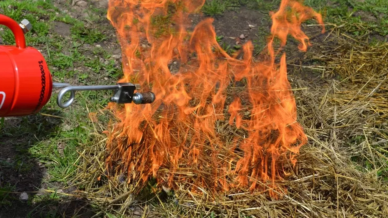 Из-за угрозы лесам в Татарстане введут особый противопожарный режим