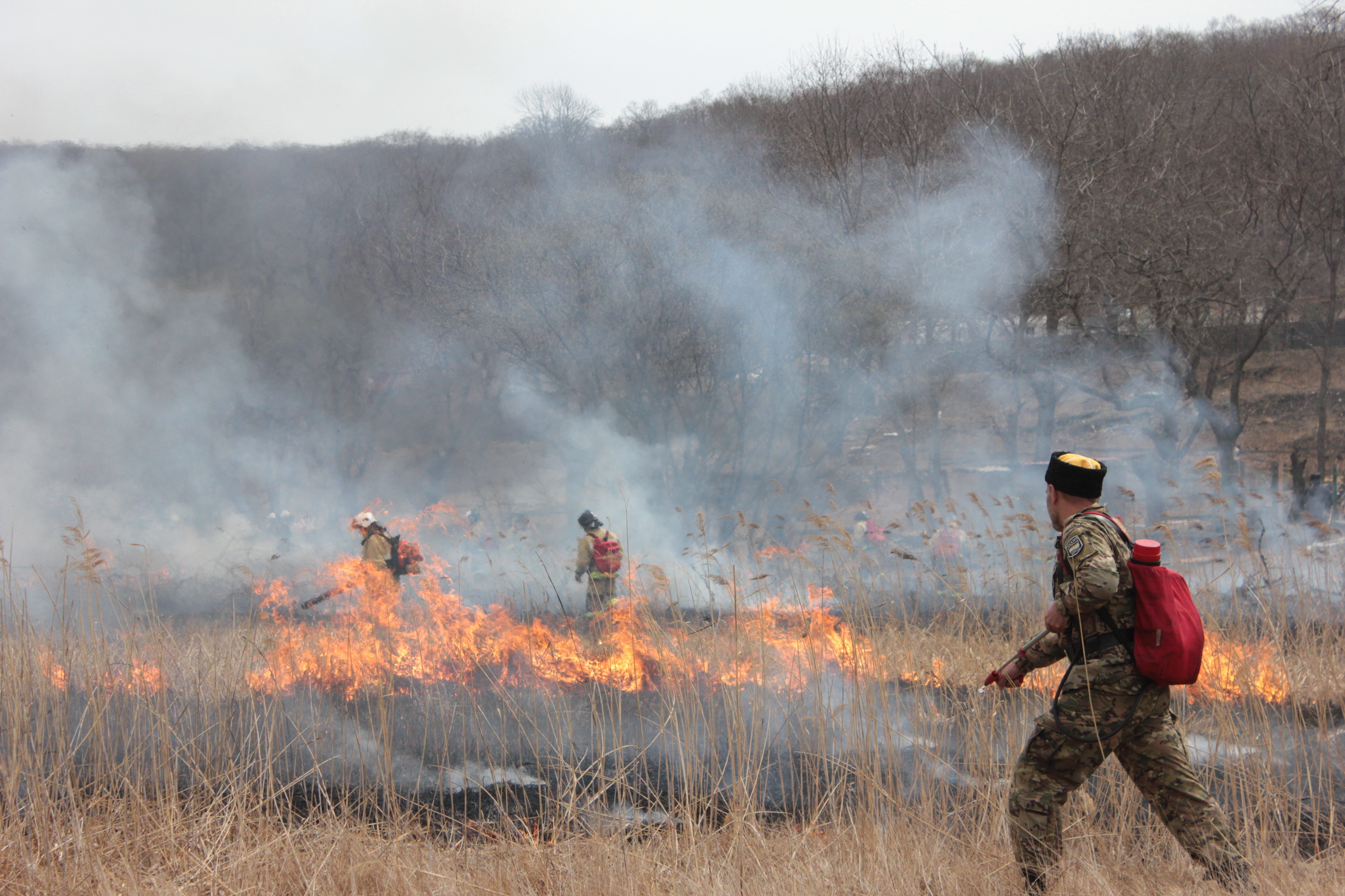 «Очень этим недоволен»: Глава Татарстана отреагировал на первые очаги лесных пожаров
