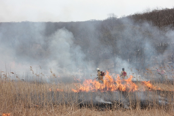 Лесные пожары угрожают Татарстану все сильнее