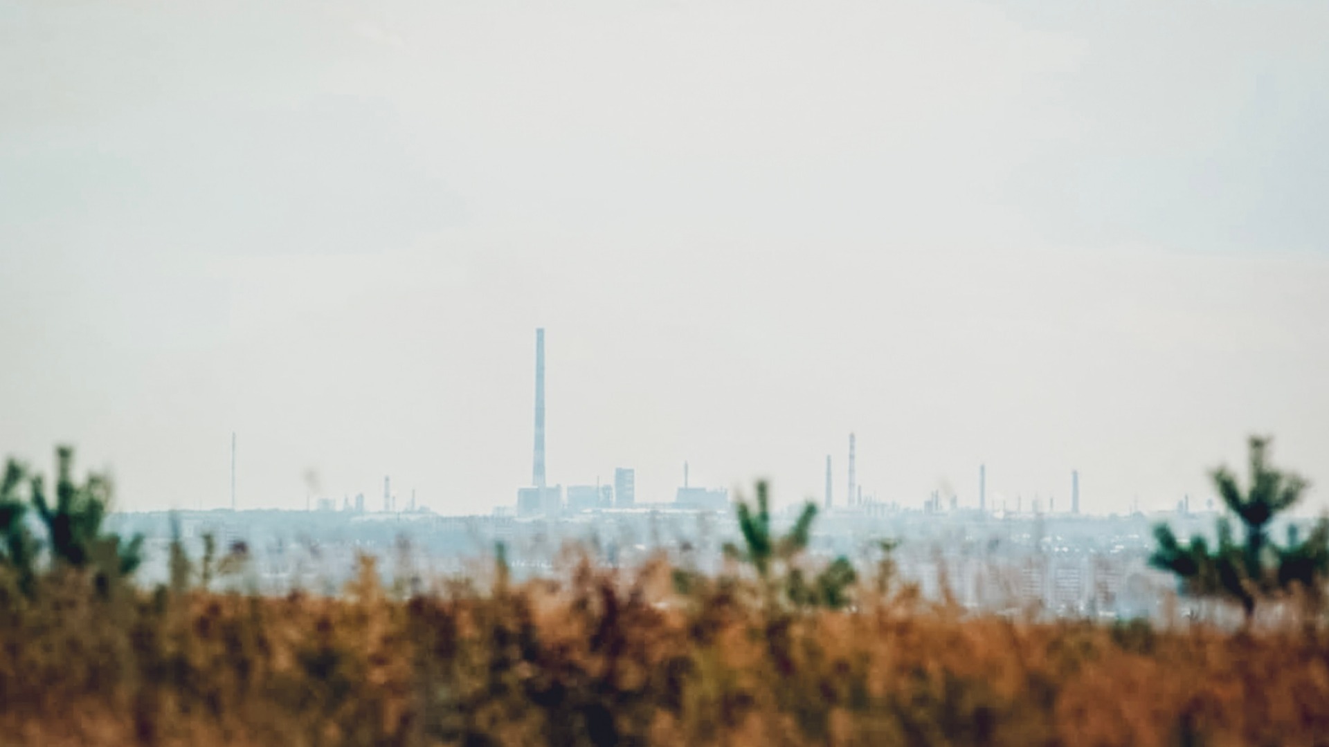 «Больная точка»: Шадриков о проблеме экологии в ЖК «Салават Купере»