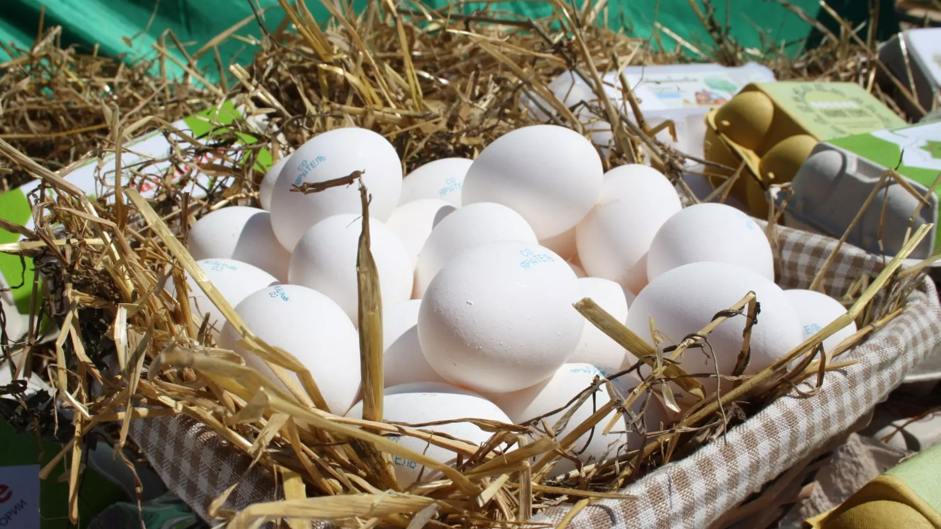 Стоимость яиц в Татарстане за год выросла на 75%