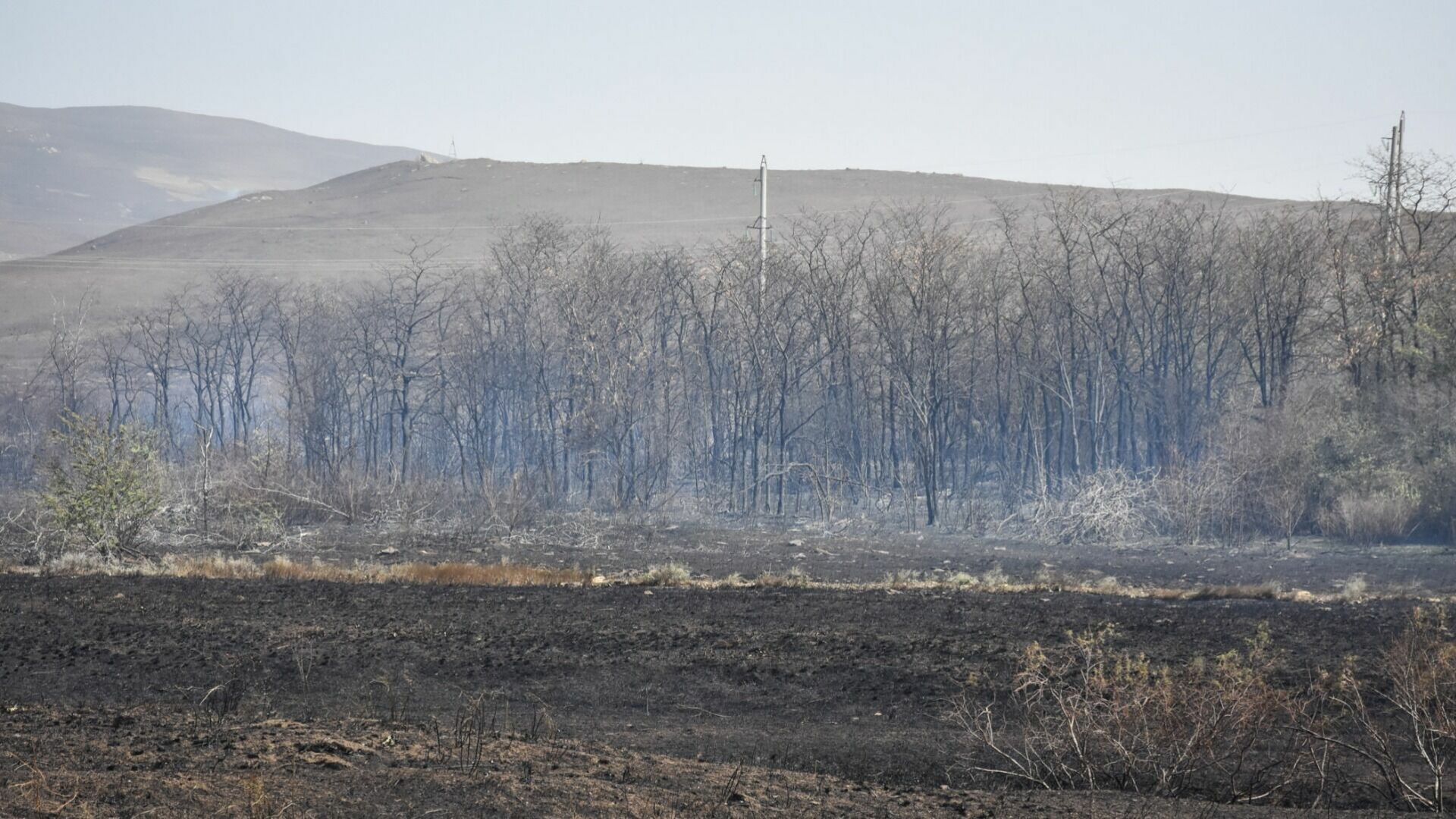 Какие поселки подвержены угрозе лесных пожаров в Казани