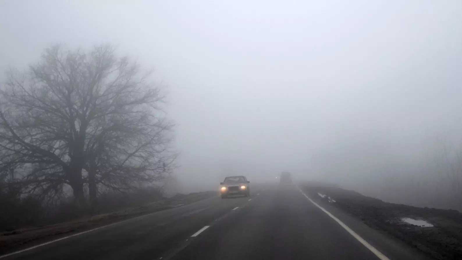 Татарстанцев предупредили об ухудшении видимости из-за тумана