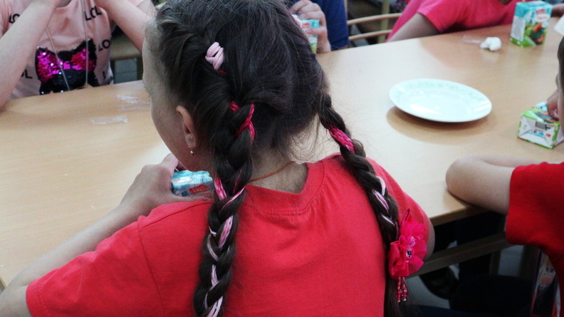 В Татарстане родители школьников пожаловались на действия кабмина РТ в Генпрокуратуру