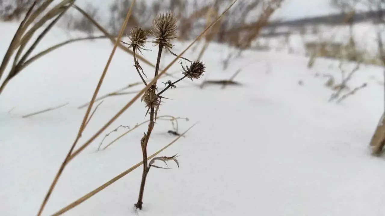 Высота снежного покрова на полях Татарстана превысила 1 метр