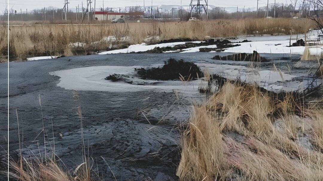 Стало известно, какую территорию в Татарстане загрязнили нефтепродуктами